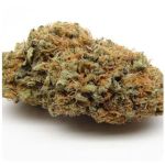 Шишки AK47 (Гидропоника, Бошка) VHQ в Людиново Шишки AK47 (Гидропоника, Бошка) VHQ в Людиново